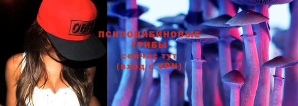 дживик Алексин