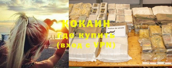 дживик Алексин