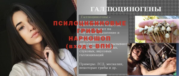 дживик Алексин