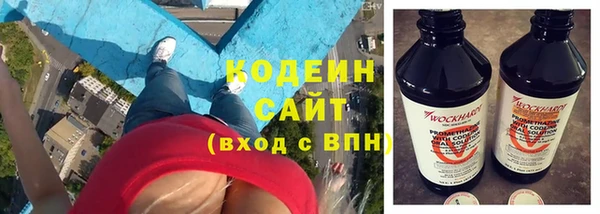 прущий лед Алзамай